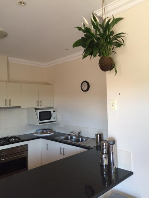 Salt Air On Lochard Place Apartment Warrnambool Ngoại thất bức ảnh